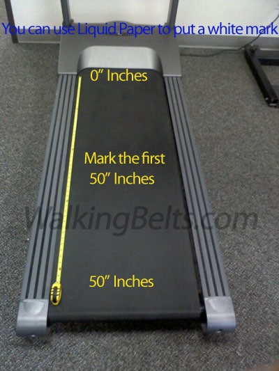 Details about   Trotter 545 Treadmill Walking Belt Free 1oz Lube 