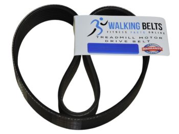 PFTL790072 ProForm 7.0 Crosstrainer Treadmill Motor Belt