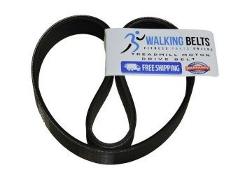 IMTL315040 Image 15.0 Q Treadmill Motor Belt
