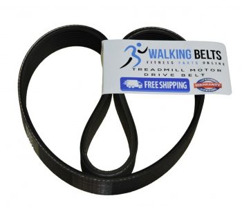 Walking Belts LLC - PETL797143 ProForm Endurance S7 Drive Belt +1oz Lube - Image 3