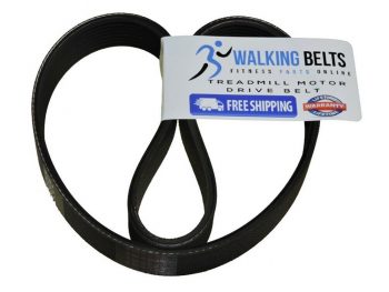 Vision TF20 Treadmill Motor Drive Belt Serial TM432 - TM437 - Touch